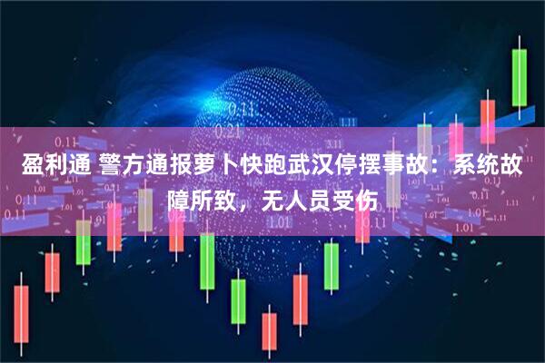 盈利通 警方通报萝卜快跑武汉停摆事故：系统故障所致，无人员受伤